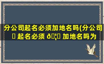 分公司起名必须加地名吗(分公司 ☘ 起名必须 🦅 加地名吗为什么)